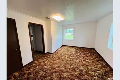 17064 Old Frankfort Road, Johnston City, IL 62951 - Photo 30