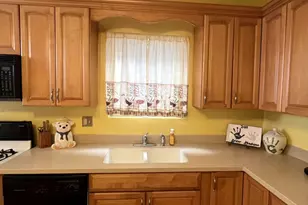 5320 W Wolfram St, Chicago, IL 60641 - Photo 18