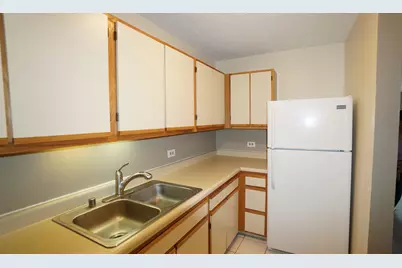1122 N Clark Street #1004, Chicago, IL 60610 - Photo 6