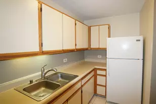 1122 N Clark St, Chicago, IL 60610 - Photo 6
