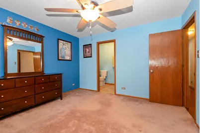 6877 177th Street, Tinley Park, IL 60477 - Photo 12