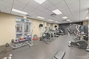 700 N Larrabee St, Chicago, IL 60654 - Photo 20