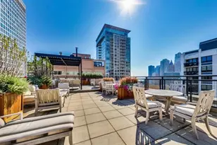 850 N Dewitt Pl, Chicago, IL 60611 - Photo 12