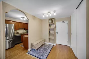 850 N Dewitt Pl, Chicago, IL 60611 - Photo 6