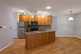 750 N Willard Ct, Chicago, IL 60642 - Photo 6