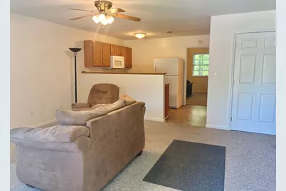 42 Butler Lane, Makanda, IL 62958 - Photo 4