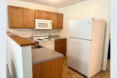 42 Butler Lane, Makanda, IL 62958 - Photo 6