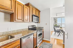 474 N Lake Shore Dr, Chicago, IL 60611 - Photo 12