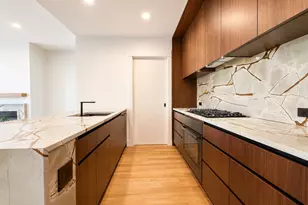 415 E North Water St, Chicago, IL 60611 - Photo 12