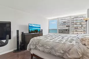 4800 S Chicago Beach Dr, Chicago, IL 60615 - Photo 8