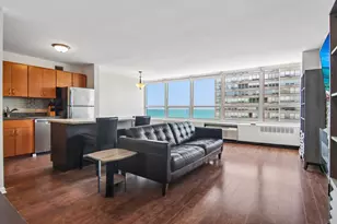 4800 S Chicago Beach Dr, Chicago, IL 60615 - Photo 2
