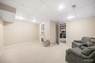 141 Partridge Ct, Grayslake, IL 60030 - Photo 30