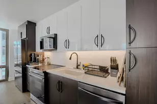 2 E Erie St, Chicago, IL 60611 - Photo 6