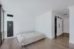2 E Erie St, Chicago, IL 60611 - Photo 12