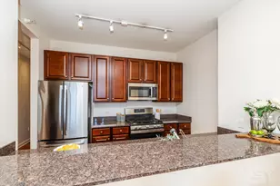 233 E 13th St, Chicago, IL 60605 - Photo 14