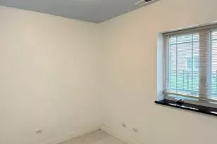 3521 S Parnell Ave, Chicago, IL 60609 - Photo 26
