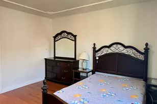 3521 S Parnell Ave, Chicago, IL 60609 - Photo 14