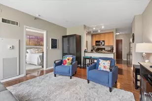 1255 S State St, Chicago, IL 60605 - Photo 4
