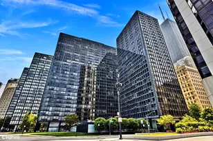 900 N Lake Shore Dr, Chicago, IL 60611 - Photo 30