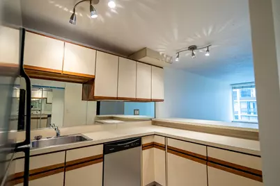 233 E Erie Street #1309, Chicago, IL 60611 - Photo 10