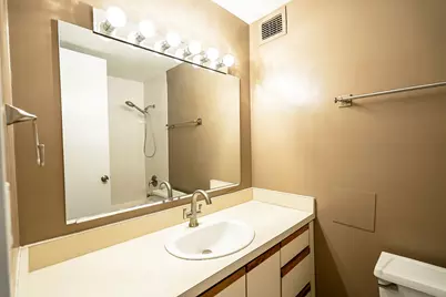 233 E Erie Street #1309, Chicago, IL 60611 - Photo 14