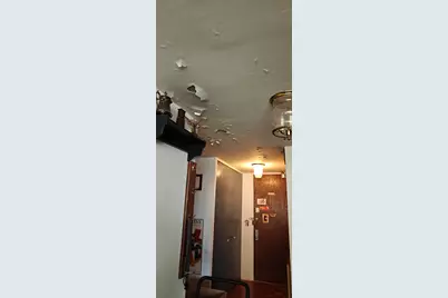 201 E Chestnut Street #17C, Chicago, IL 60611 - Photo 8