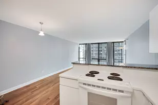 2 E Erie St, Chicago, IL 60611 - Photo 10