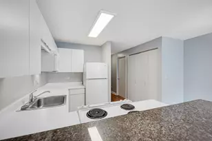 2 E Erie St, Chicago, IL 60611 - Photo 8