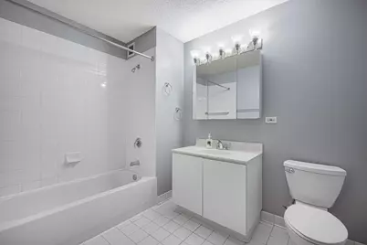 2 E Erie Street #1804, Chicago, IL 60611 - Photo 14