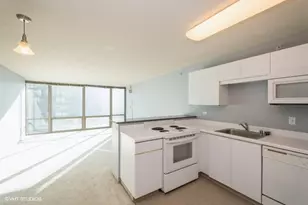 2 E Erie St, Chicago, IL 60611 - Photo 4