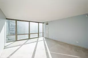 2 E Erie St, Chicago, IL 60611 - Photo 2
