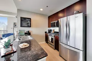 303 W Ohio St, Chicago, IL 60654 - Photo 12