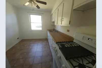 257 W Swann Street, Chicago, IL 60609 - Photo 6