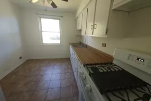 257 W Swann St, Chicago, IL 60609 - Photo 6