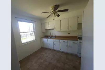 257 W Swann Street, Chicago, IL 60609 - Photo 4