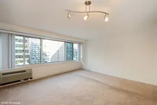 211 E Ohio St, Chicago, IL 60611 - Photo 4