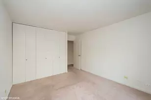 211 E Ohio St, Chicago, IL 60611 - Photo 8