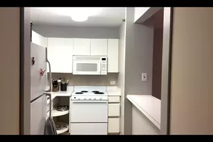440 N Wabash Ave, Chicago, IL 60611 - Photo 22