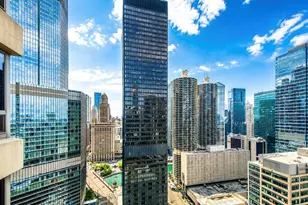 440 N Wabash Ave, Chicago, IL 60611 - Photo 10