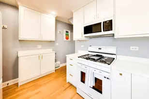 7347 N Overhill Ave, Chicago, IL 60631 - Photo 6