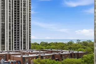 1636 N Wells St, Chicago, IL 60614 - Photo 10