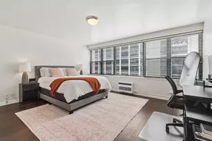 850 N Dewitt Pl, Chicago, IL 60611 - Photo 10