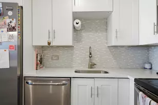 1455 N Sandburg Terrace, Chicago, IL 60610 - Photo 6