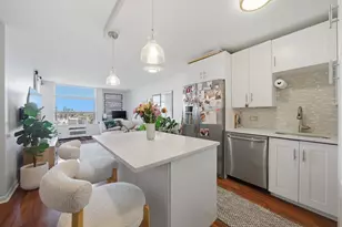 1455 N Sandburg Terrace, Chicago, IL 60610 - Photo 2