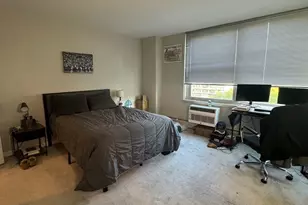 336 W Wellington Ave, Chicago, IL 60657 - Photo 12