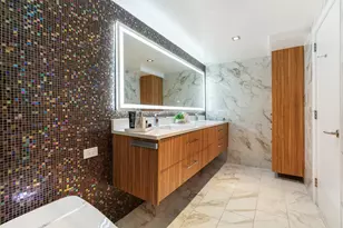 161 E Chicago Ave, Chicago, IL 60611 - Photo 20