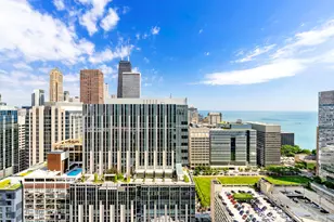 600 N Fairbanks Ct, Chicago, IL 60611 - Photo 12