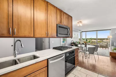 9655 Woods Drive #1709, Skokie, IL 60077 - Photo 8