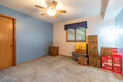 20560 Bensley Avenue, Lynwood, IL 60411 - Photo 28