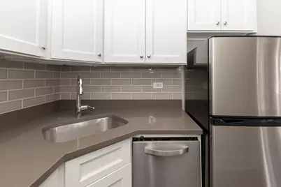 817 W Lakeside Place #701, Chicago, IL 60640 - Photo 4